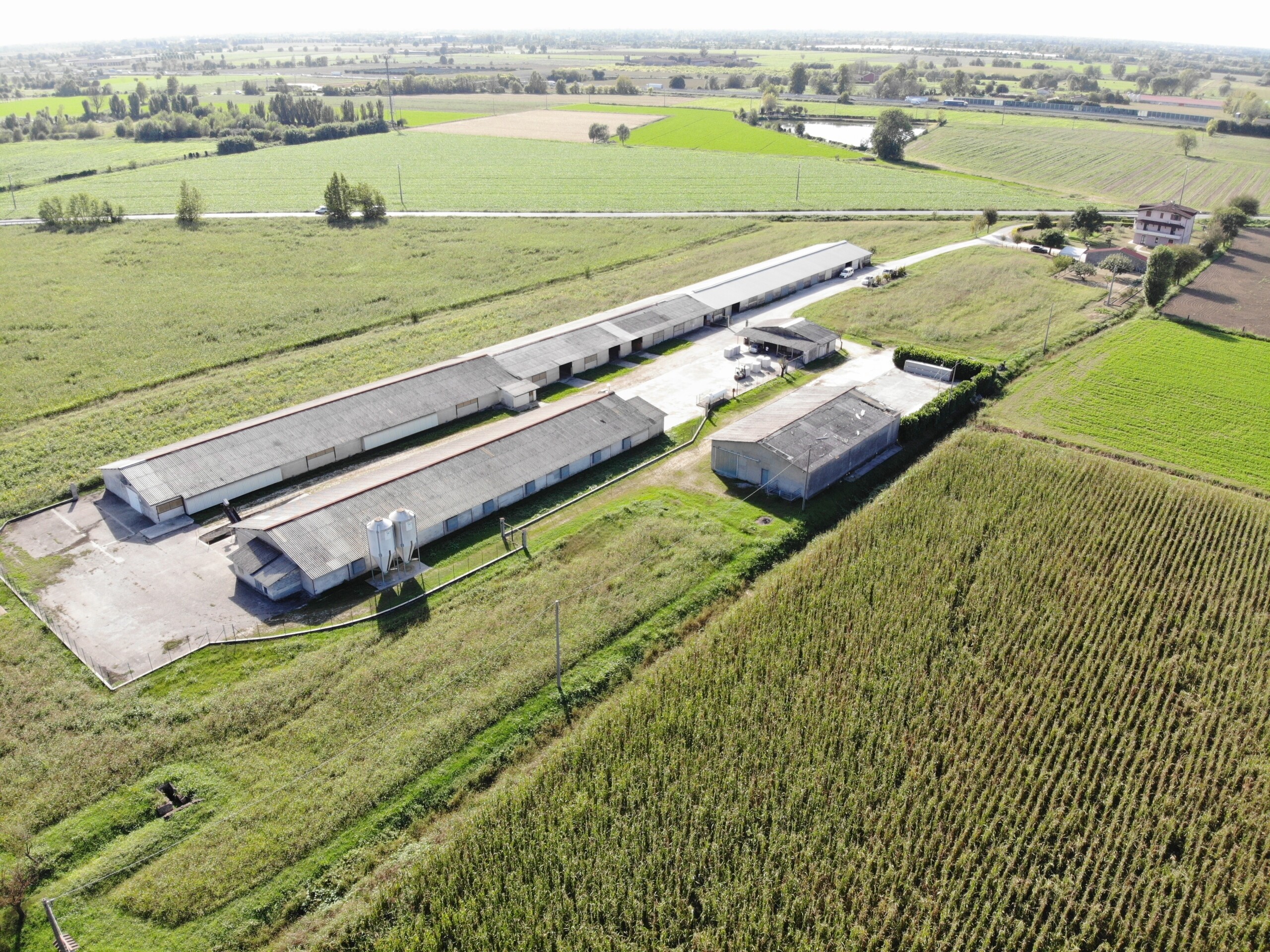 Azienda Agricola a Leno - 3787-3