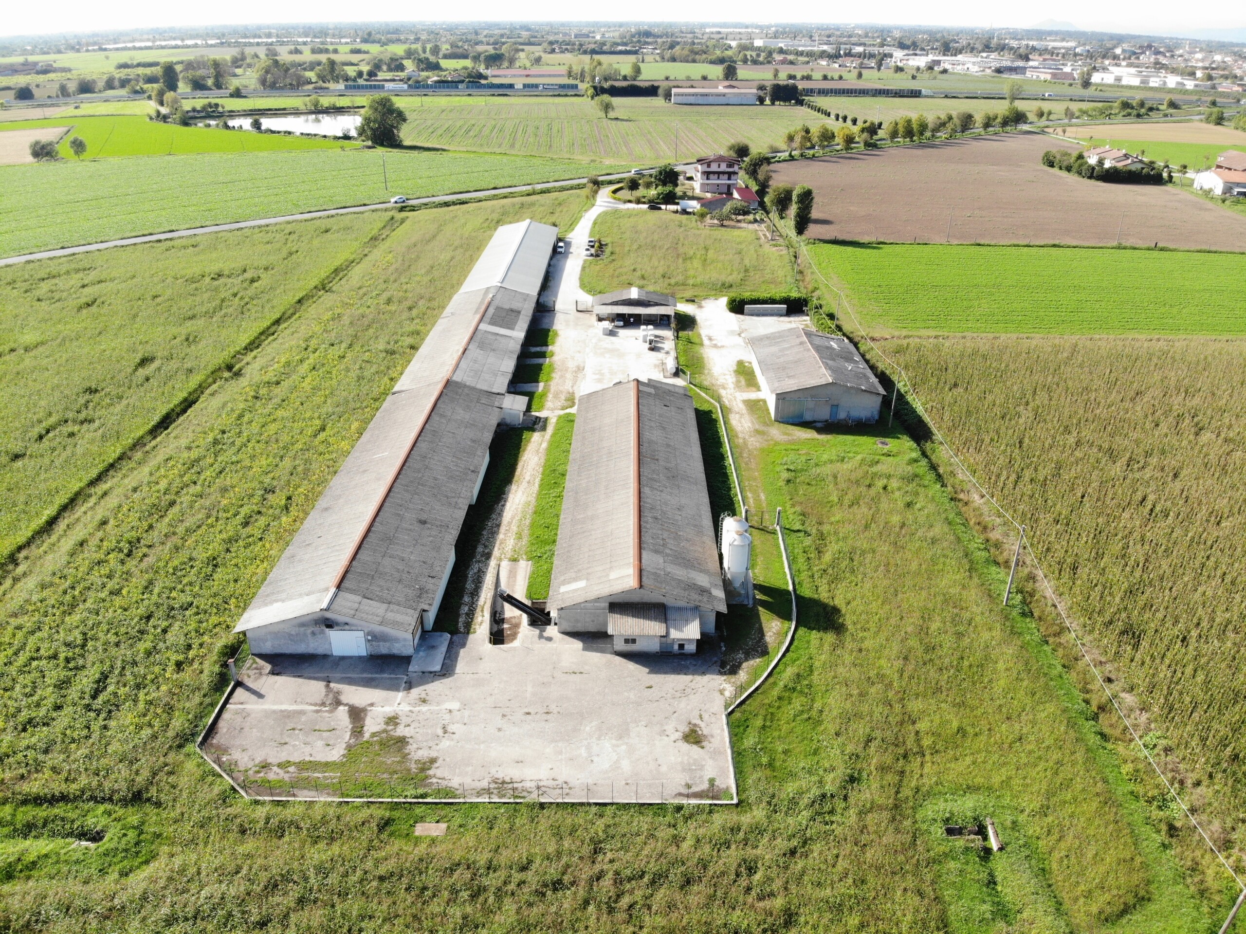 Azienda Agricola a Leno - 3787-4